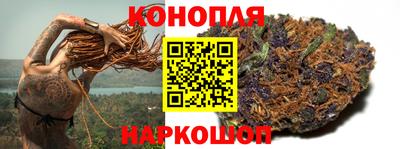 гидра Камышлов