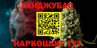 гидра Камышлов