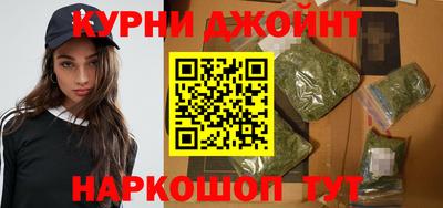 гидра Камышлов