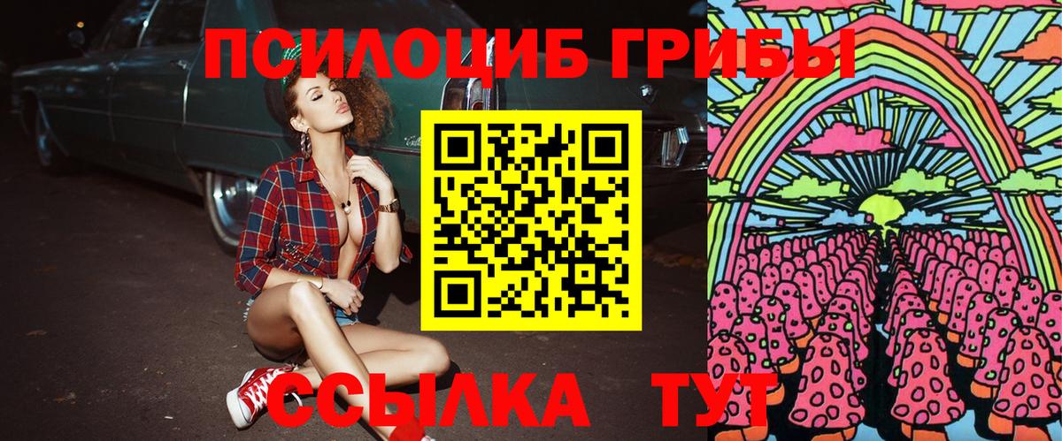 Псилоцибиновые грибы мицелий  Псилоцибиновые грибы Cubensis  Нижний Тагил  Вход с VPN 